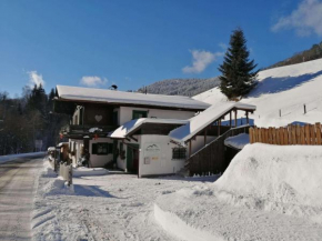 Apartment in Dienten with mountain views